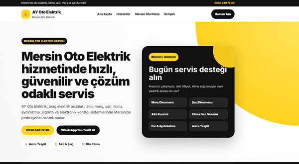 AY Oto Elektrik web tasarım referansı